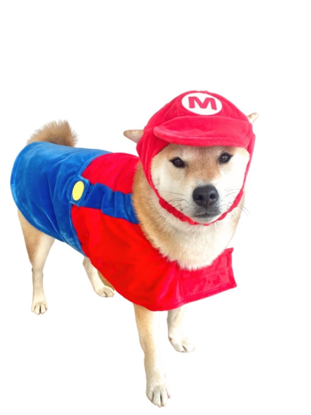 Mario Dog Costume Cape and Hat